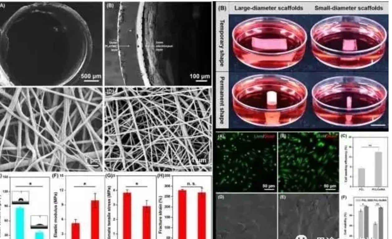 什么是生物相容性？医疗器械生物相容性(图2)